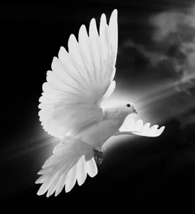 pompes funèbres massey