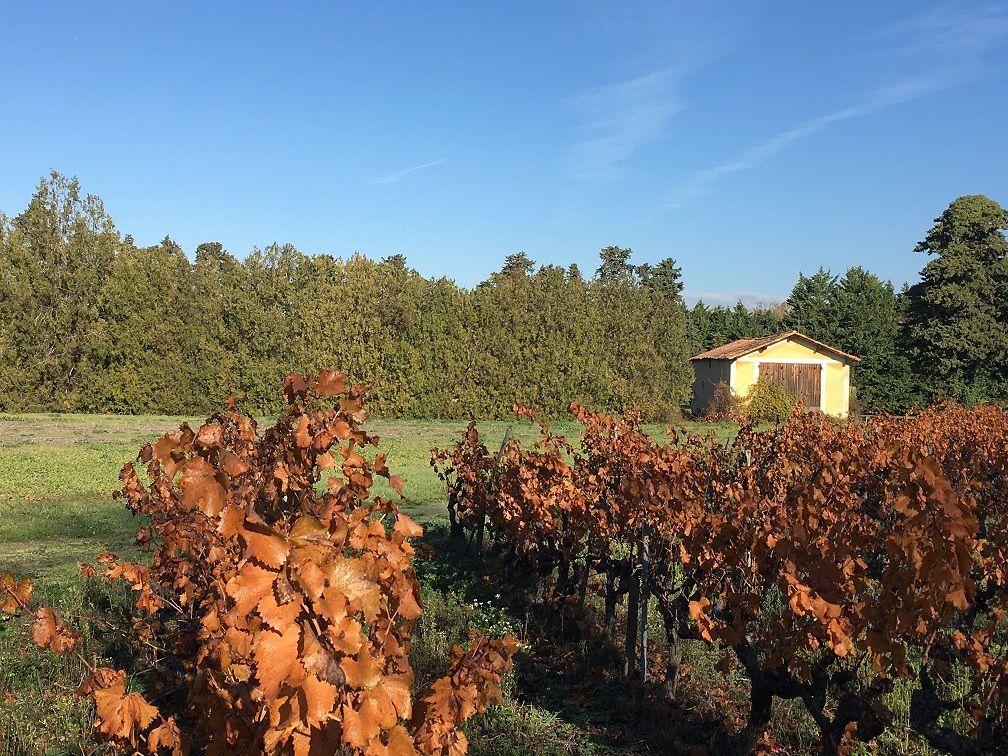 Paysage Est Caumontois Environement