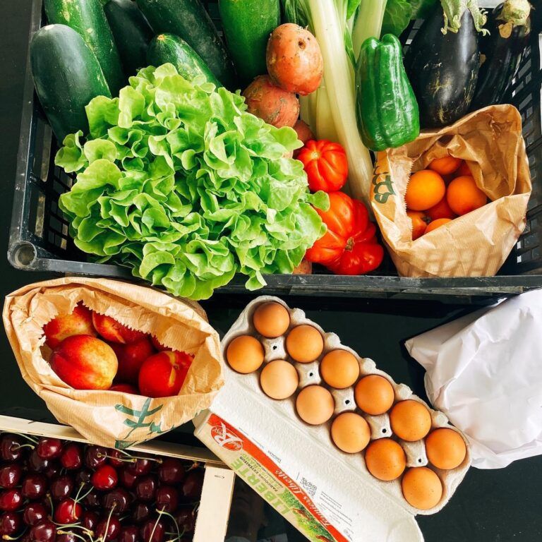 Photo légumes AMAP
