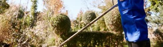 Débroussaillement