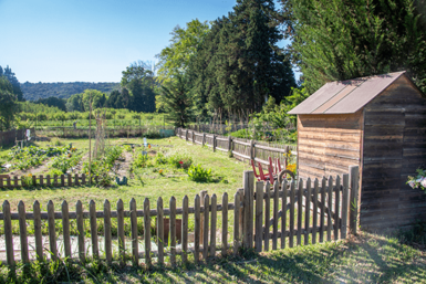 jardins familiaux