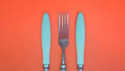 restauration scolaire