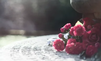 pink roses on white textile