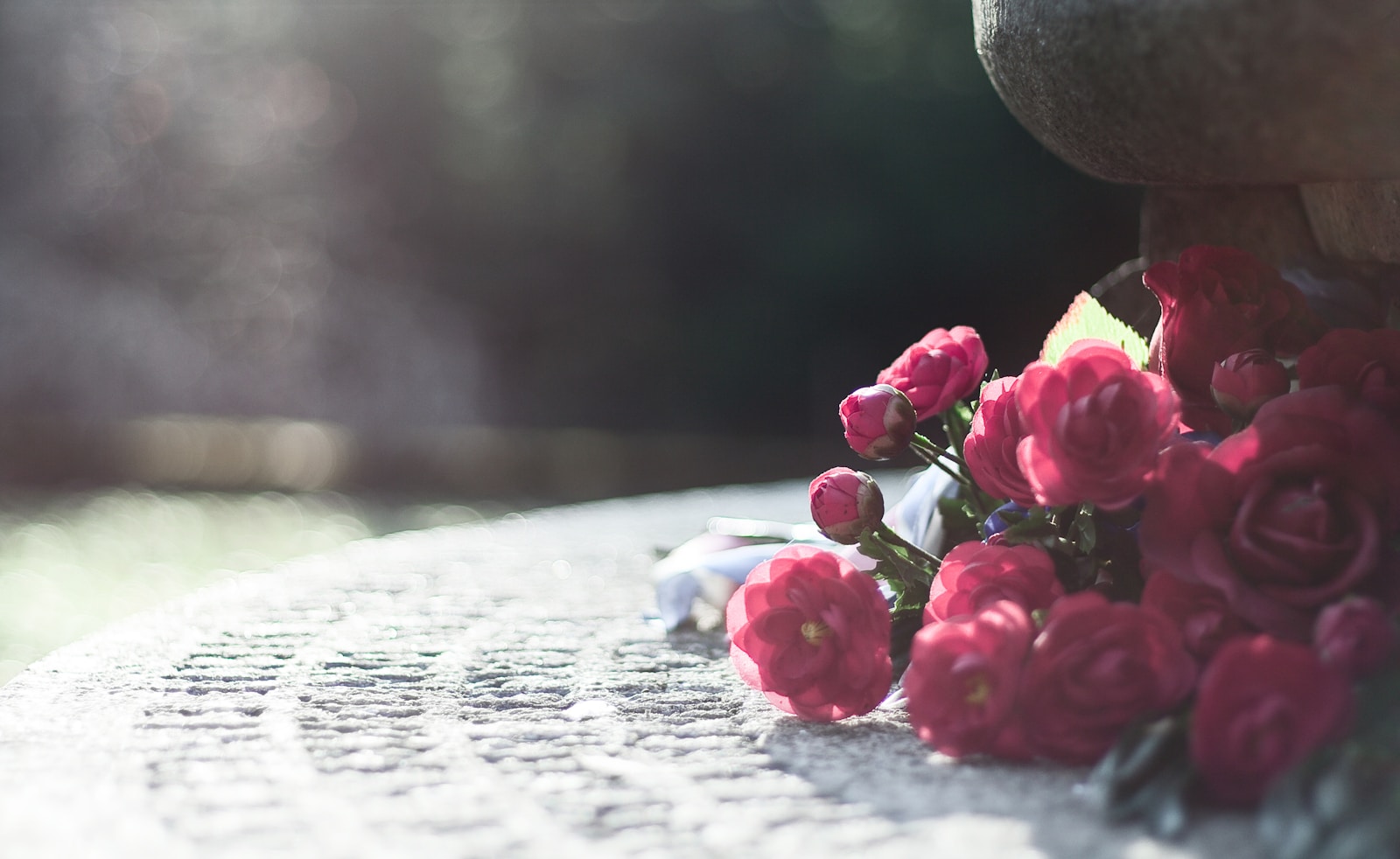 pink roses on white textile