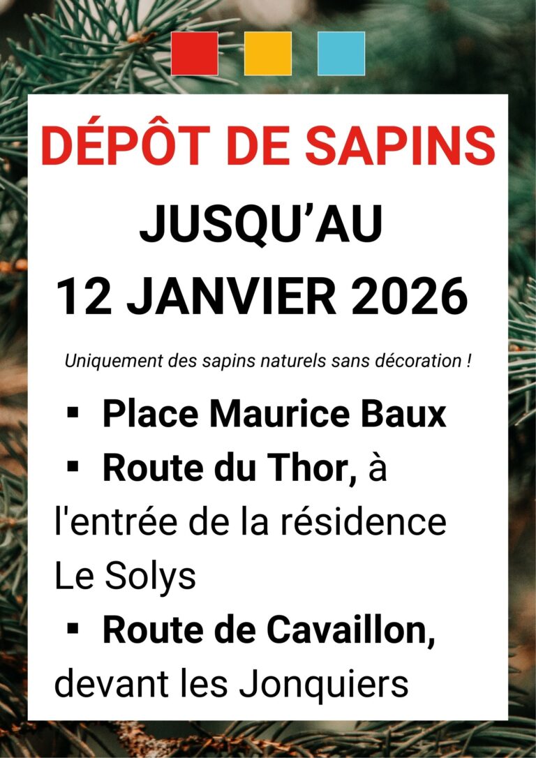 Dépôt de sapins