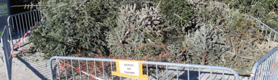 point collecte sapins