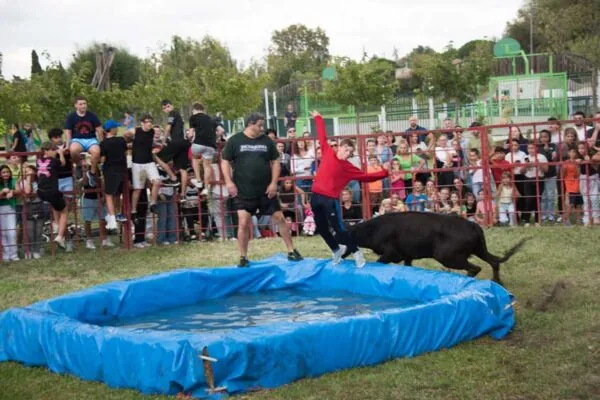 Toro piscine fête de la Demoiselle