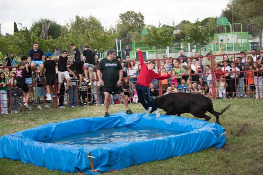 Toro piscine fête de la Demoiselle