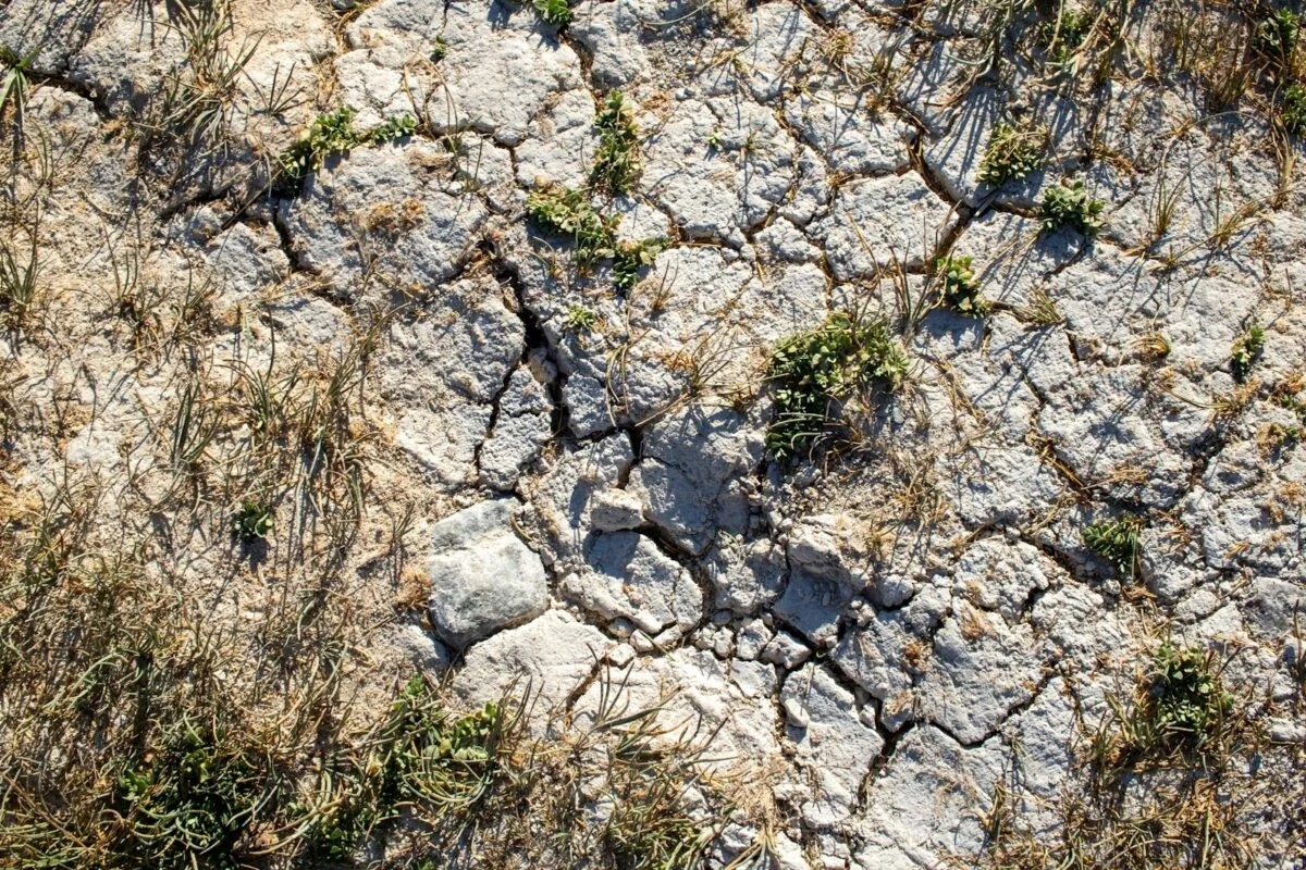 An aerial view of a rocky area with grass and rocks